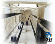 �̌W���ģ��