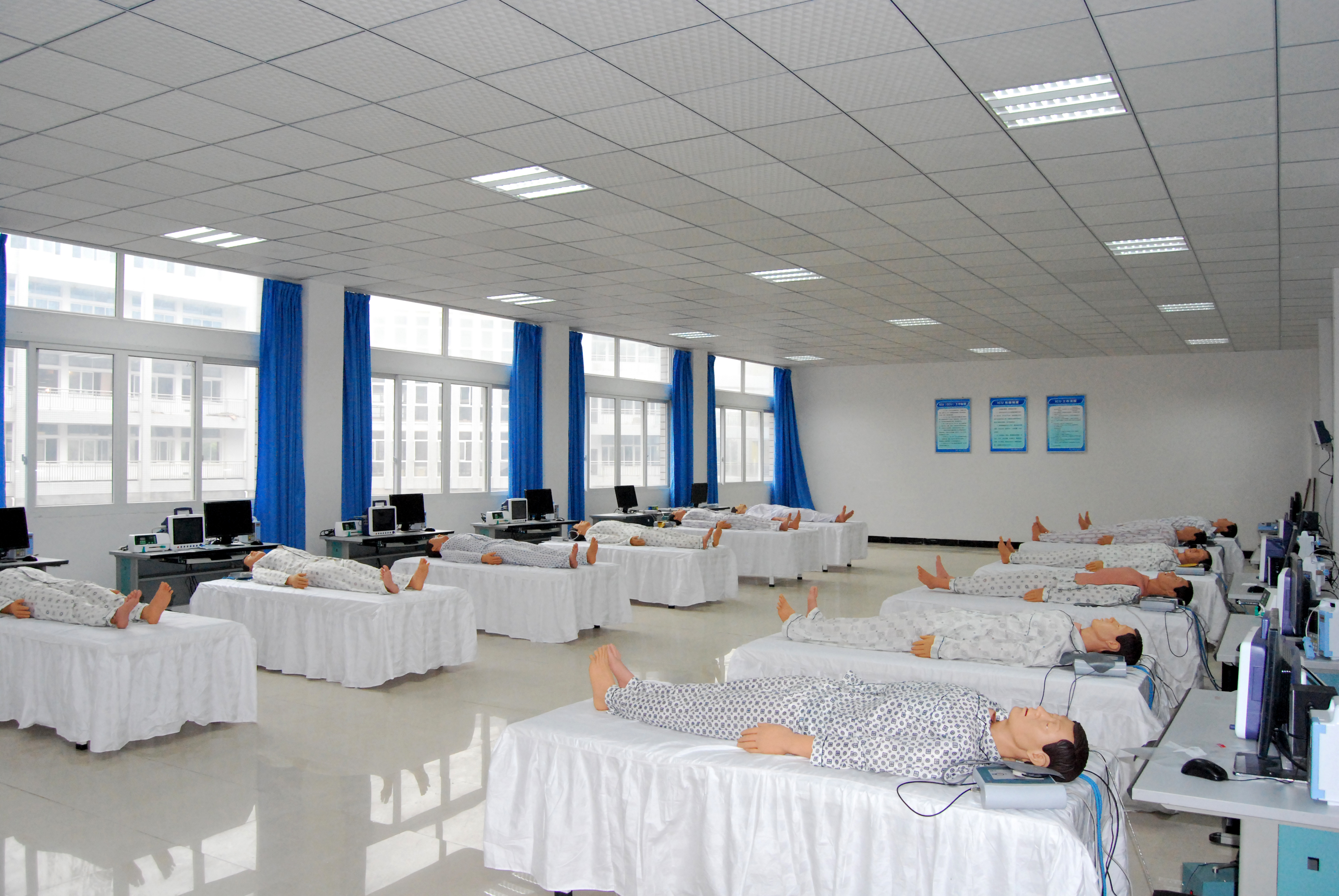 �����o(h��)�팍(sh��)Ӗ(x��n)��