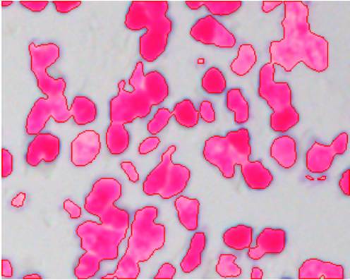 ��(x��)���D��ָ�